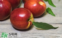 油桃什么時候成熟？油桃什么季節(jié)成熟