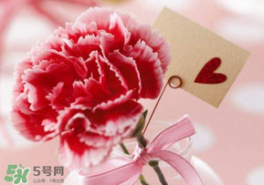 母親節(jié)要送婆婆禮物嗎？母親節(jié)要給婆婆買禮物嗎？