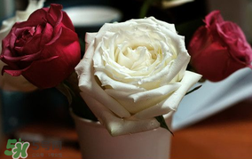 母親節(jié)可以送玫瑰花嗎？母親節(jié)送幾朵玫瑰花好？