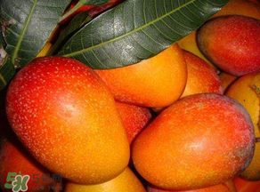 甜瓜和芒果可以一起吃嗎？甜瓜和芒果一起吃好嗎？