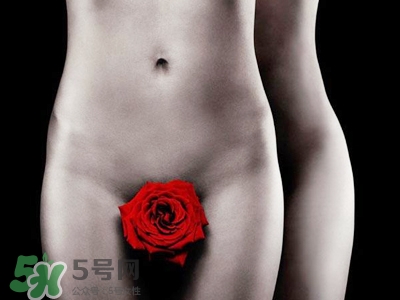 什么叫玉蛋功？玉蛋功教學(xué)的教學(xué)視頻