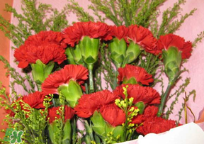 母親節(jié)要不要給男朋友媽媽買(mǎi)禮物？母親節(jié)送男友媽媽禮物