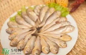 黃唇魚是黃花魚嗎？黃唇魚是黃魚嗎？