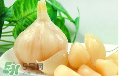 蒜頭泡醋有什么功效？蒜頭泡醋的功效和做法