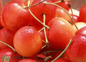 ?端午節(jié)還有櫻桃嗎？端午節(jié)可以摘櫻桃嗎？