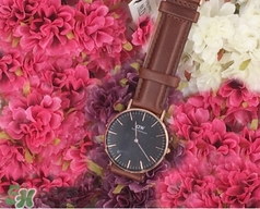 dw手表和卡西歐哪個(gè)好？dw手表和卡西歐手表哪個(gè)檔次高？