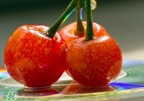 ?端午節(jié)還有櫻桃嗎？端午節(jié)可以摘櫻桃嗎？