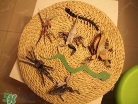 端午節(jié)五毒是什么？端午節(jié)為什么要避五毒？