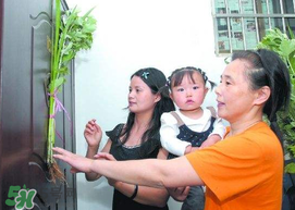 端午節(jié)為什么要掛菖蒲？端午節(jié)掛菖蒲的好處