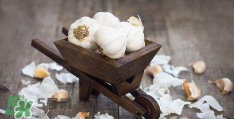 新鮮蒜頭怎么保存？蒜頭怎么保存不發(fā)芽