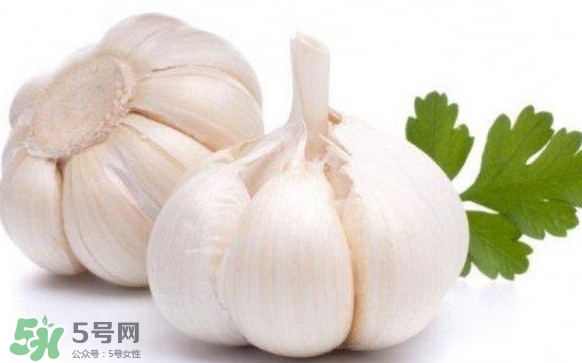 蒜頭發(fā)芽能吃嗎？蒜頭發(fā)芽可以吃嗎？