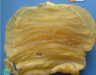 黃唇魚鰾一斤多少錢？黃唇魚鰾的藥用價值