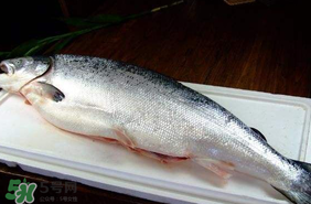 三文魚可以放多久？三文魚能放多久？