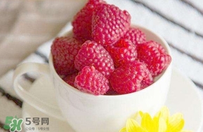 覆盆子是什么？覆盆子是樹莓嗎