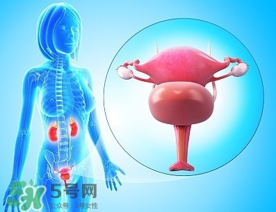 人造子宮能生孩子嗎？人造子宮初現(xiàn)曙光