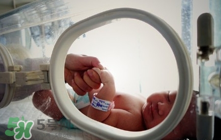 人造子宮能生孩子嗎？人造子宮初現(xiàn)曙光