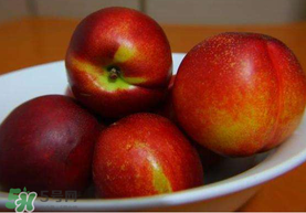 油桃是熱性還是涼性？油桃是寒性水果嗎？