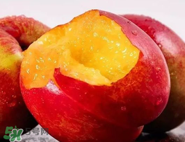 油桃是熱性還是涼性？油桃是寒性水果嗎？