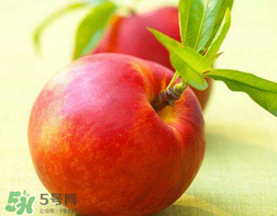 油桃什么人不能吃？油桃的禁忌