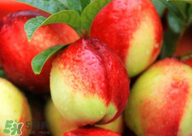 油桃和芒果可以一起吃嗎？芒果和油桃能一起吃嗎？