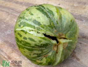 香瓜裂口怎么回事？香瓜裂了怎么辦？
