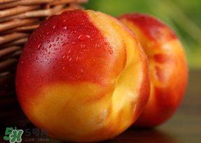 油桃怎么洗？油桃怎么洗干凈？