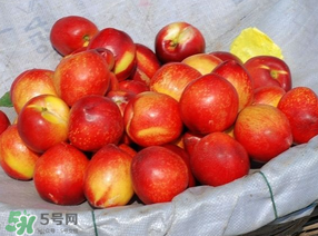 油桃怎么洗？油桃怎么洗干凈？