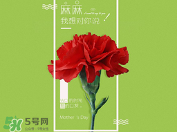 2017年母親節(jié)會打折嗎？2017年母親節(jié)有什么優(yōu)惠活動？