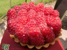 空心泡是否就是覆盆子？覆盆子是水果嗎