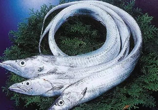 三文魚多少錢一斤2017？新鮮三文魚多少錢一條2017？