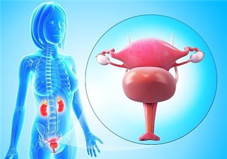 人造子宮能生孩子嗎？人造子宮初現(xiàn)曙光