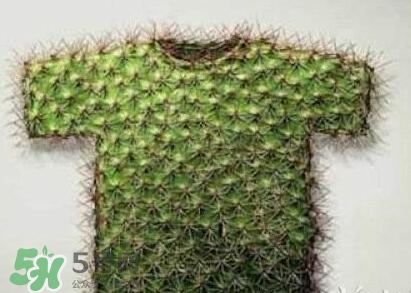 貞操褲怎么上廁所？貞操褲圖片