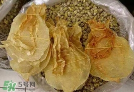 金錢鳘值多少錢？金錢鳘魚膠功效