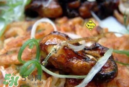 丹麥生蠔能吃嗎？生蠔的吃法大全集