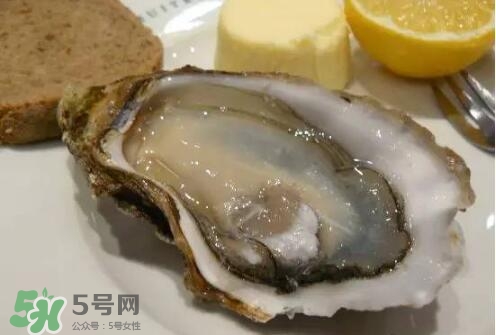 丹麥生蠔能吃嗎？生蠔的吃法大全集