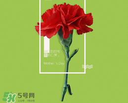 母親節(jié)送什么禮物給老婆？2017年母親節(jié)送老婆禮物推薦