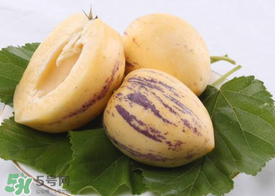 甜瓜可以蒸著吃嗎？甜瓜蒸熟了可以吃嗎？