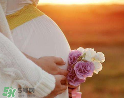 人造子宮初現(xiàn)曙光，未來將是男媽媽的天下？