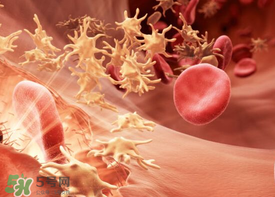 尸血會感染艾滋嗎？尸血可以治療血友病嗎？