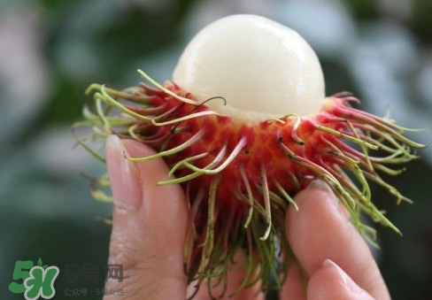 紅毛丹什么時候上市？紅毛丹什么季節(jié)有？