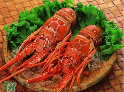 什么時(shí)候釣龍蝦最好？龍蝦幾月份能釣？