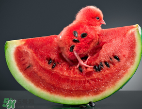 5月份的西瓜能吃嗎？五月份的西瓜能吃嗎？