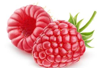 山莓哪里有賣？山莓哪里有人種植