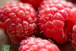 山莓哪里有賣？山莓哪里有人種植