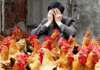 五月份還有禽流感嗎？禽流感幾月份結(jié)束？