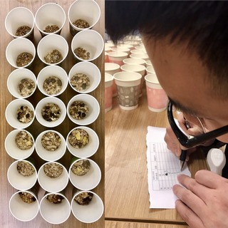 麥片什么牌子好？進(jìn)口麥片哪個(gè)牌子好吃