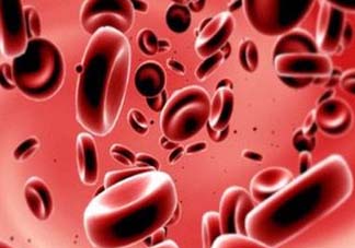 尸血會(huì)感染艾滋嗎？尸血可以治療血友病嗎？