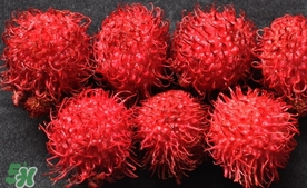 紅毛丹什么時候上市？紅毛丹什么季節(jié)有？