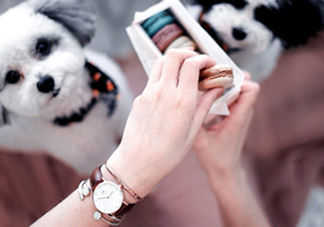 dw手表香港專柜在哪里？dw手表香港多少錢？