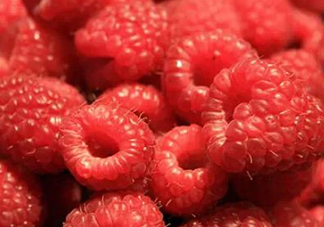 <strong>山莓是什么？山莓是水果嗎？</strong>